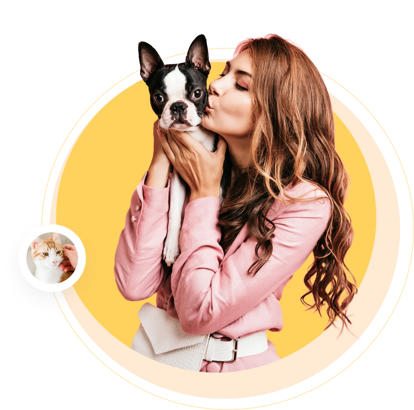 agnias-mobile-cat-grooming